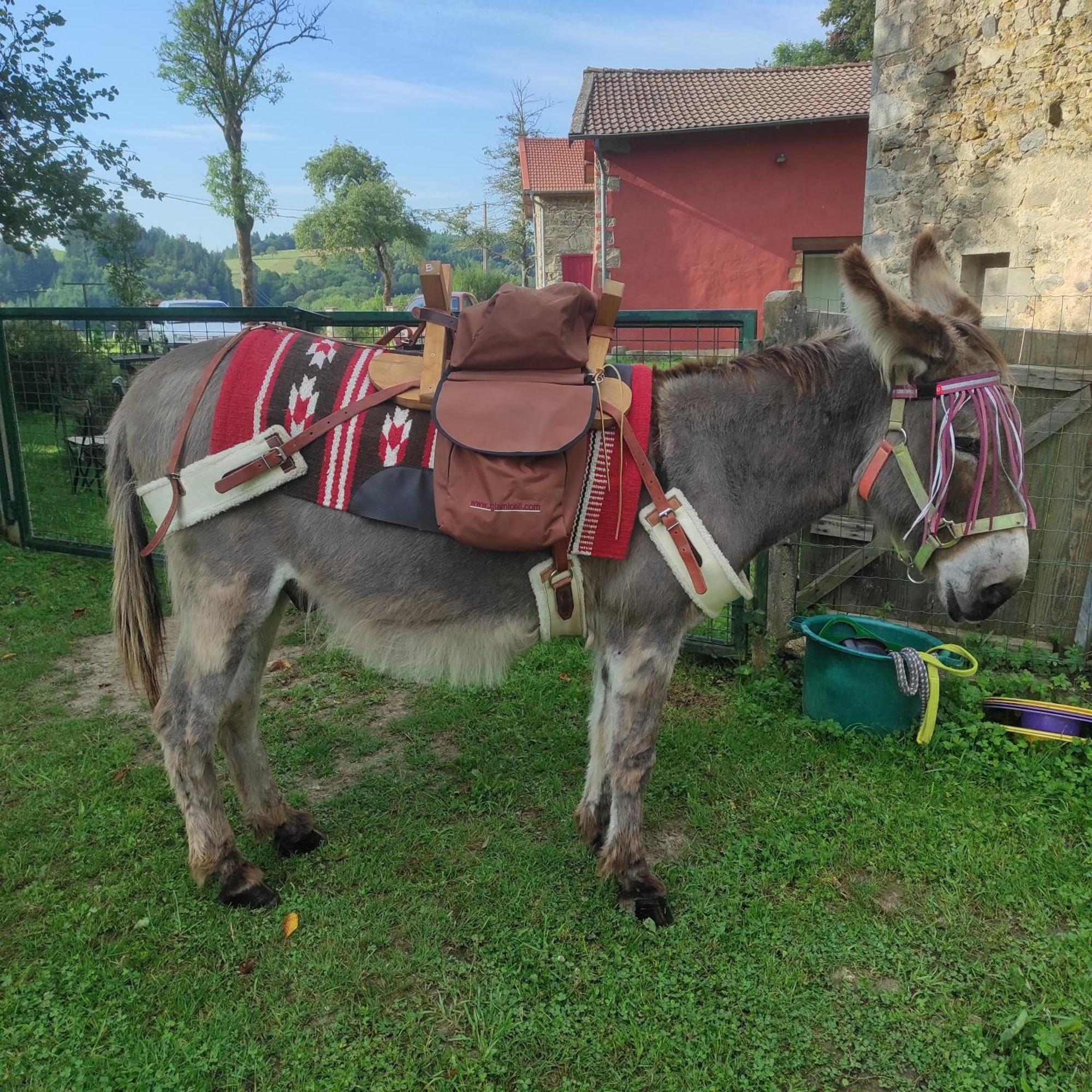 Gîte La Roche Bertignat Esterno foto